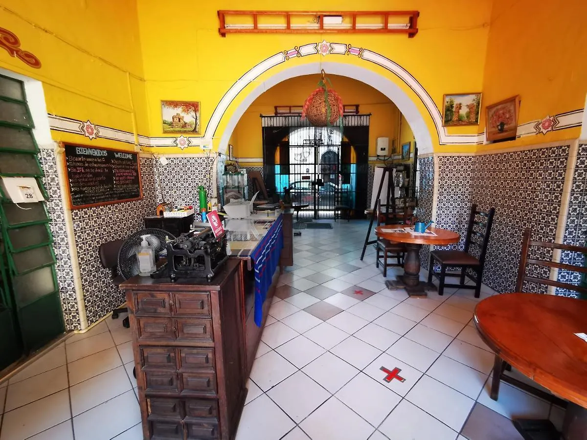 Hotel Mucuy Mérida 3*,  México